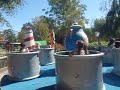 Rigo, Lilia, Pumpkin, Callie - spin, spin and spin!