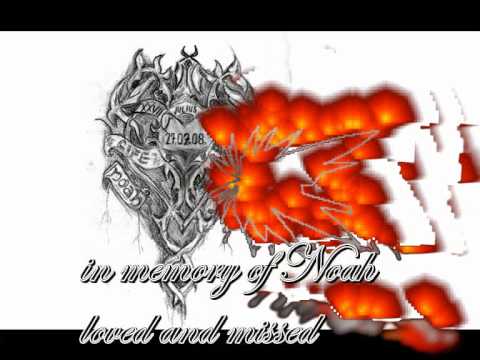 Demonian angel - min krigare