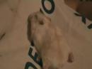 Winston s'est endormi