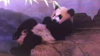 Smithsonian National Zoo