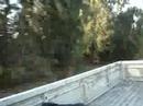 truck-drift.html