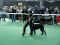 videos de Valentin Kuzmin & Zizu