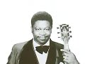 Profile of a Performing Atrist B.B. King