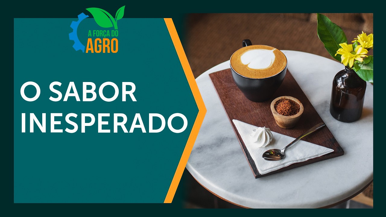 Qual o segredo do café brasileiro que parece queniano? | A Força do Agro