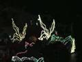 Fantillusion DLP 2006