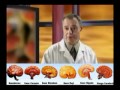 Simplemente "Ganoderma Lucidum"