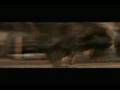 I Am Legend (TV Spot 1)