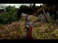 age of conan blood babes and brutality trailer fanmade