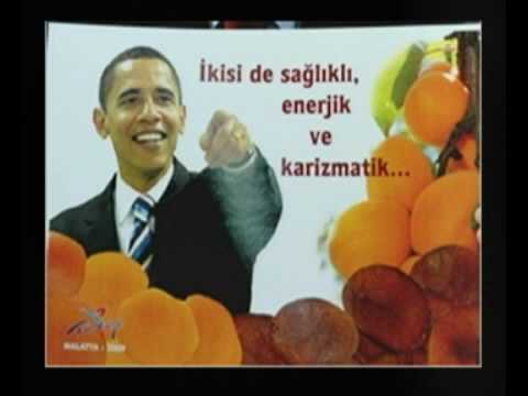 Is this Apricot Ad Racist?