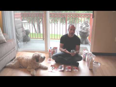 how to properly stuff a kong