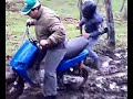 scootercross