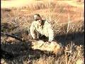 Ongaro Outdoors _ Coyote Hunting in Alberta