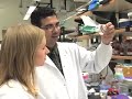 Immunity Boost