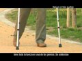 Click para Ver : 15 - Aparatos de ayuda para la marcha