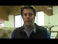 www.cavallinobiancorumo.it http