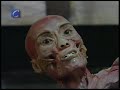 Exposición 