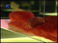 Exposición 