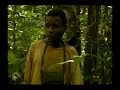 Cameroon: Forest of the Baka Pygmies