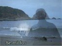 videos de Non potho reposare