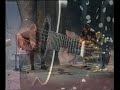 Bobby Blue-Kameni cvet unplugged(Boban Birtasevic live)