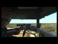 TAVO DE LEON MATA VENADO SUPER TIRO