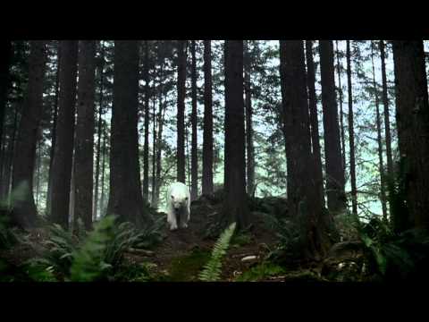 NISSAN LEAF - POLAR Video