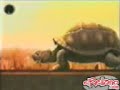 GEOPAK BeerTurtle