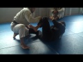 Spider Guard to Triangle