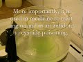Elementary Productions: Synthesis of Isopropyl Nitrite
