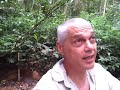 Guaraniaçú cria reserva ambiental educacional