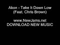 Akon - Take It Down Low (Feat. Chris Brown) NEW 2011