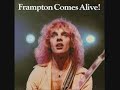 Peter Frampton - Frampton Comes Alive - 13 - Lines On My Face Peter Frampton - Frampton Comes Alive - 13 - Lines On My Face