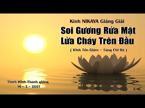 Kinh NIKAYA Giảng Giải _ Soi Gương Rửa Mặt - Lửa Cháy Trên Đầu ( Kinh Tổn Giảm - Tăng Chi Bộ )