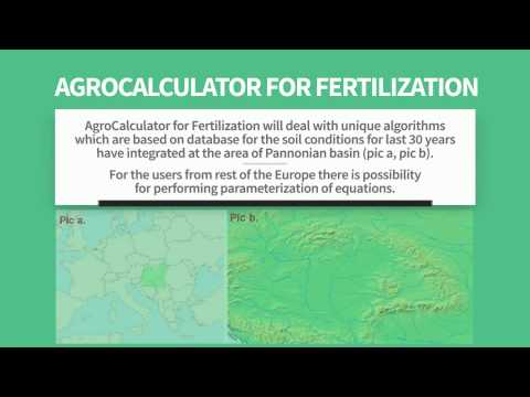 how to fertilize sunflowers