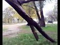 atv  dragon, vrezina skutercentar