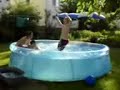 ?lenov� kapa-tv blbnou v baz�n?