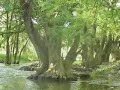 basura la decadencia de nuestro ecosistema