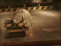 Beast Vs Dantomkia Vs Storm Force