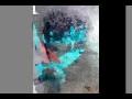 Shoegazer Grafitti