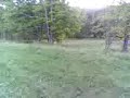 me jumpin robies 2008 yamaha raptor