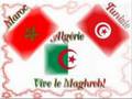 MAGHREB