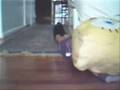 Motercycle Ride.wmv