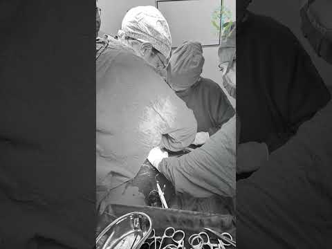 Little hands, little feet, and all the care they need. Nurturing the future, baby at a time.