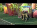 Liberty University Paintball NCPA SEC Xball Event #2 Highlights