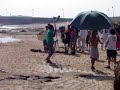 manolete en la caleta