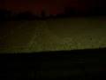 videos de Z & J's winter series - sledin down into street