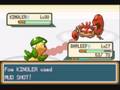 Pokemon Shiny Gold Walkthrough Part 48