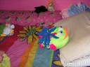 Fishy and Inky VS Sarah and Clucky