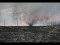 Prescribed burn