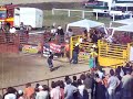 bikarode� - bull rodeo